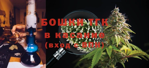 амф Богданович