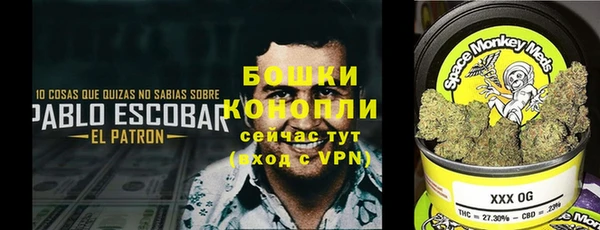 амф Богданович