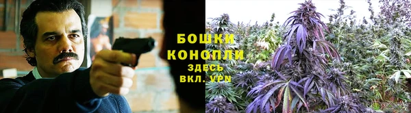 амф Богданович